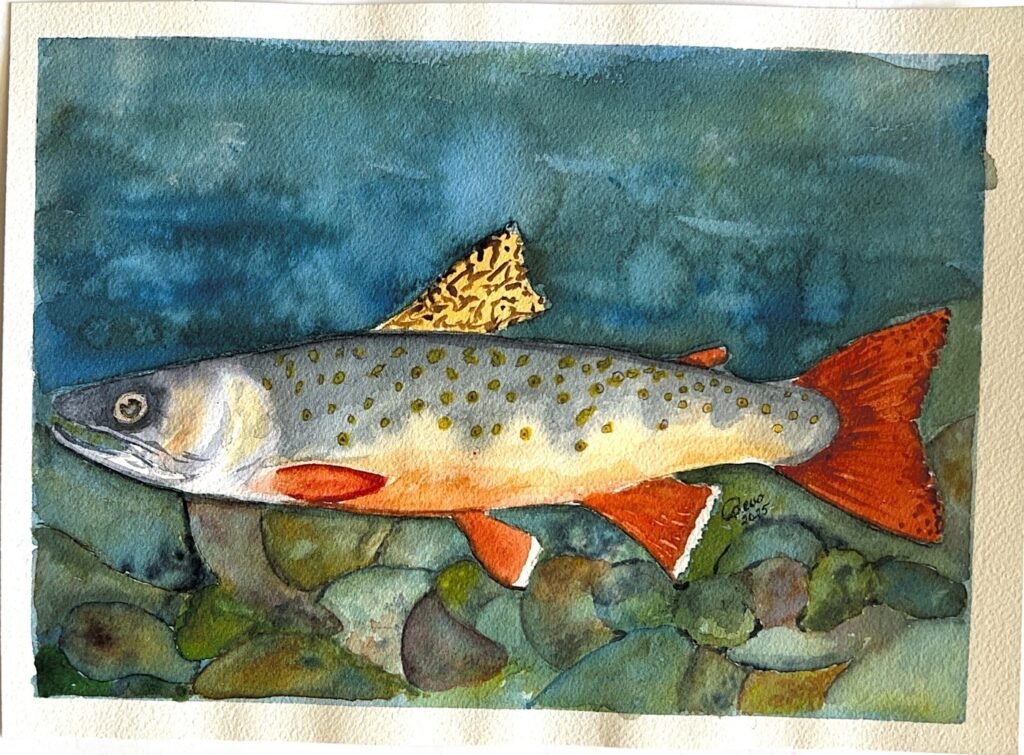 Bevo's painting of Aksel, a speckled trout