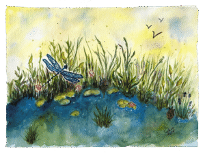Bevo's painting of a bog